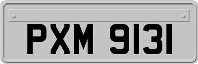 PXM9131