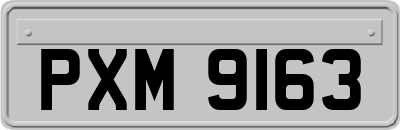 PXM9163