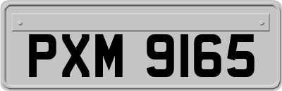 PXM9165