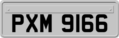 PXM9166