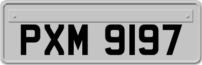 PXM9197