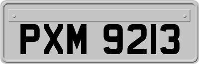 PXM9213