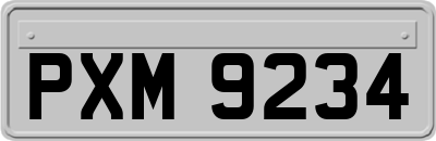 PXM9234