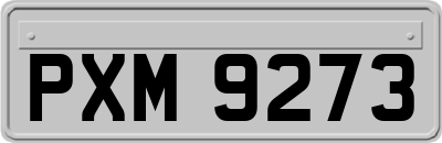 PXM9273