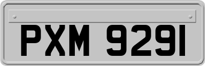 PXM9291