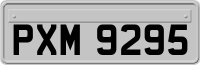 PXM9295