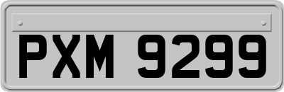 PXM9299