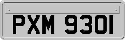 PXM9301