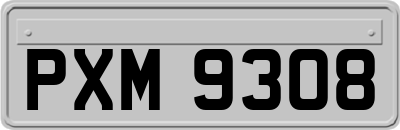 PXM9308