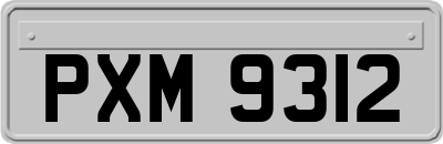 PXM9312