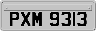 PXM9313