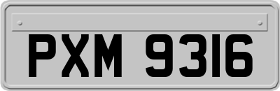 PXM9316