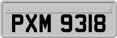 PXM9318