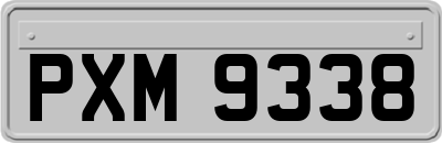 PXM9338