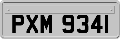 PXM9341