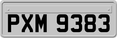 PXM9383