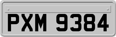 PXM9384