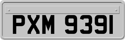 PXM9391