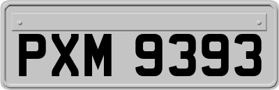 PXM9393