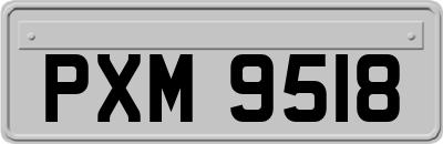 PXM9518