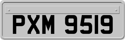 PXM9519