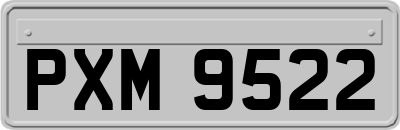 PXM9522