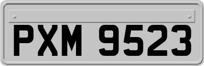 PXM9523