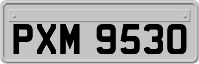 PXM9530