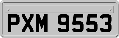 PXM9553