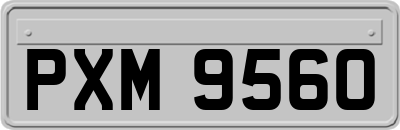 PXM9560