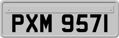 PXM9571