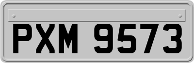 PXM9573