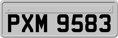 PXM9583