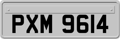 PXM9614