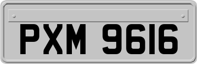 PXM9616