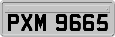 PXM9665