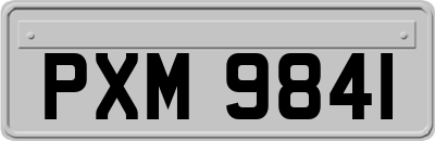 PXM9841