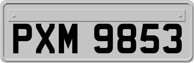 PXM9853