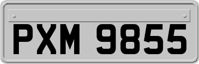 PXM9855