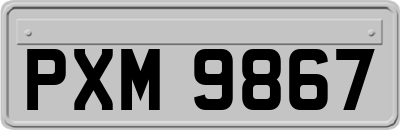 PXM9867