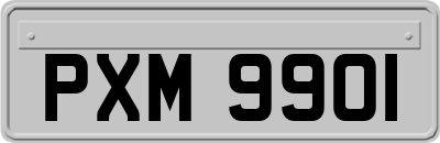 PXM9901