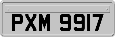 PXM9917