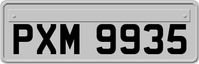 PXM9935