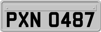 PXN0487