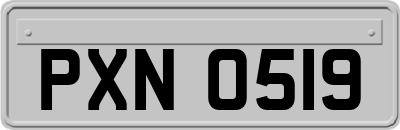 PXN0519