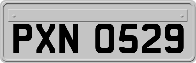 PXN0529