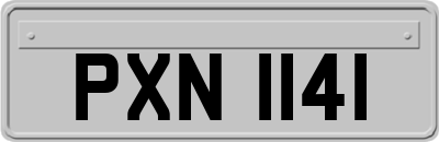 PXN1141