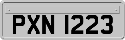 PXN1223