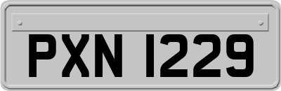 PXN1229