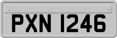 PXN1246